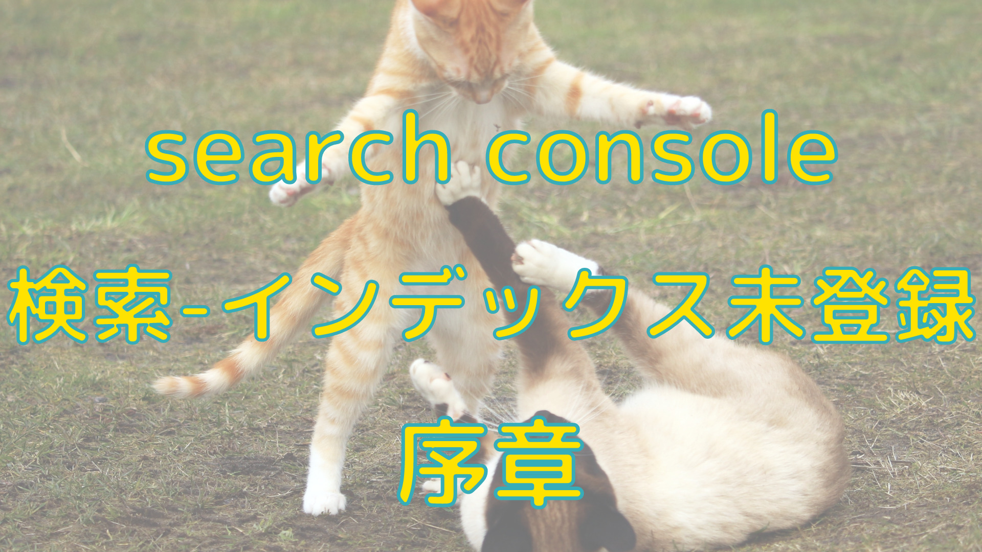 google search console 検索-インデックス未登録からの戦い（序章）
